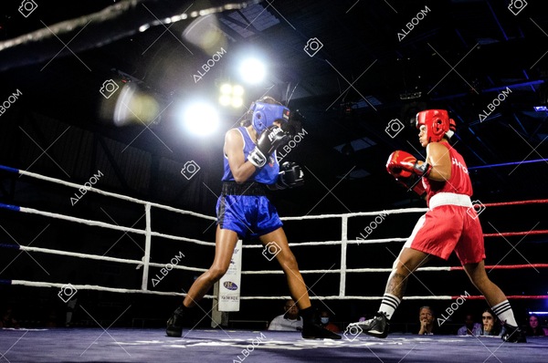 220820_2Edicao_BoxeEvolutionn_foto Dennis Calçada_01 (100)-1.jpg