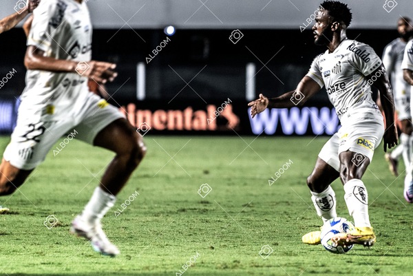 230426_SFC_1x0_BotafogoSP_CopaDoBrasil_Foto Dennis Calçada_01 (127)-1.jpg
