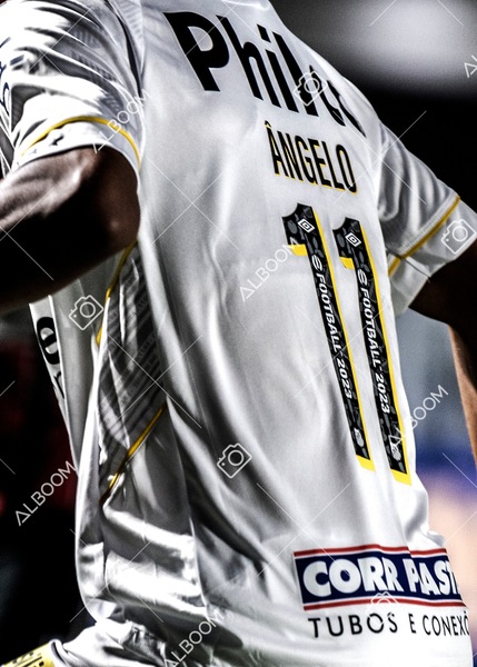 230426_SFC_1x0_BotafogoSP_CopaDoBrasil_Foto Dennis Calçada_01 (260)-1.jpg