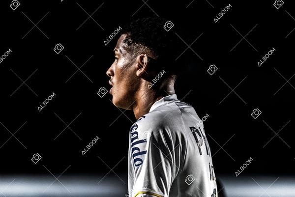230426_SFC_1x0_BotafogoSP_CopaDoBrasil_Foto Dennis Calçada_01 (259)-1.jpg
