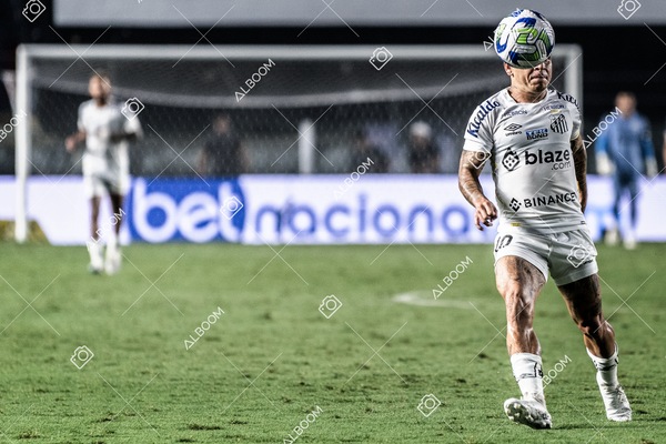 230426_SFC_1x0_BotafogoSP_CopaDoBrasil_Foto Dennis Calçada_01 (452)-1.png