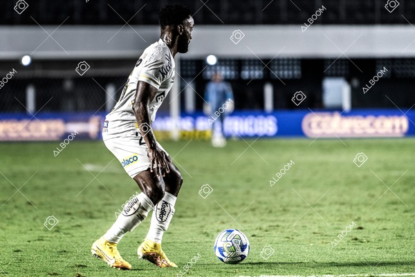 230426_SFC_1x0_BotafogoSP_CopaDoBrasil_Foto Dennis Calçada_01 (164)-1.jpg