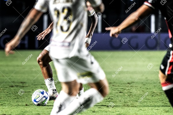 230426_SFC_1x0_BotafogoSP_CopaDoBrasil_Foto Dennis Calçada_01 (74)-1.png