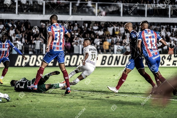 230510_Santos_3x0_Bahia_Brasileirão_foto Dennis Calçada_01 (487)-1.jpg