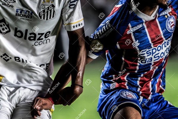 230510_Santos_3x0_Bahia_Brasileirão_foto Dennis Calçada_01 (220)-1.jpg