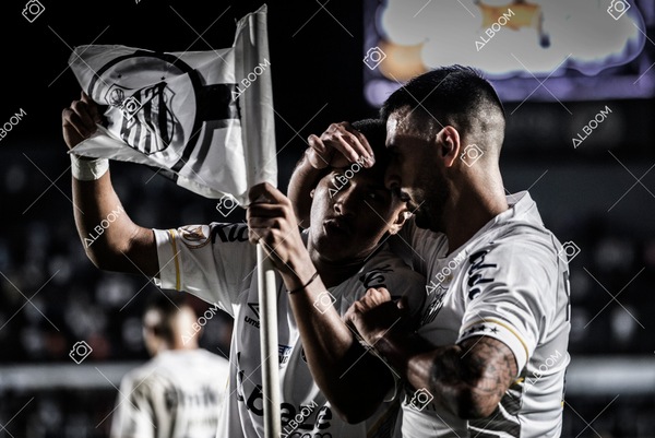 230510_Santos_3x0_Bahia_Brasileirão_foto Dennis Calçada_01 (546)-1.jpg