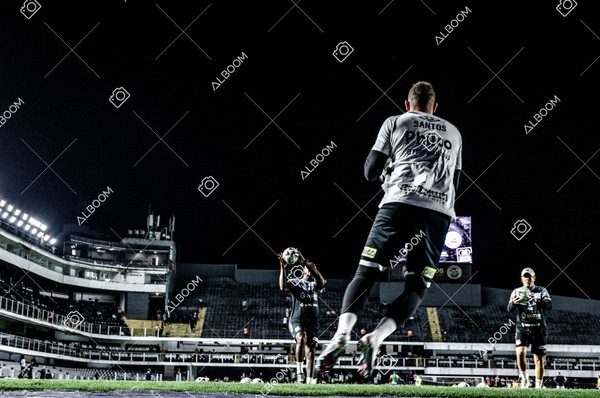 230510_Santos_3x0_Bahia_Brasileirão_foto Dennis Calçada_01 (987)-1.jpg
