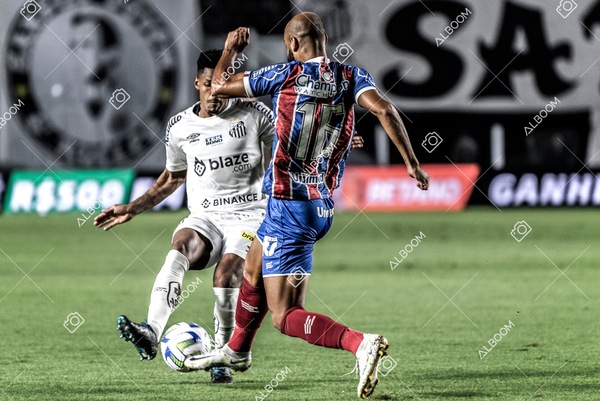 230510_Santos_3x0_Bahia_Brasileirão_foto Dennis Calçada_01 (97)-1.jpg