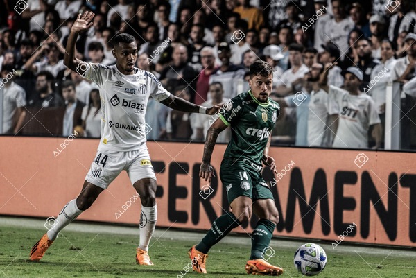 230520_SFC_0x0_Palmeiras_Brasileirão_foto Dennis Calçada_01 (488)-1.jpg