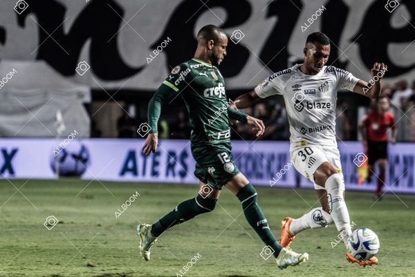 230520_SFC_0x0_Palmeiras_Brasileirão_foto Dennis Calçada_01 (503)-1.jpg