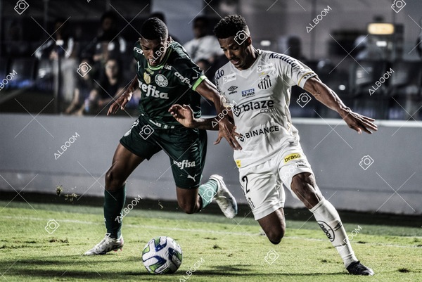 230520_SFC_0x0_Palmeiras_Brasileirão_foto Dennis Calçada_01 (244)-1.jpg