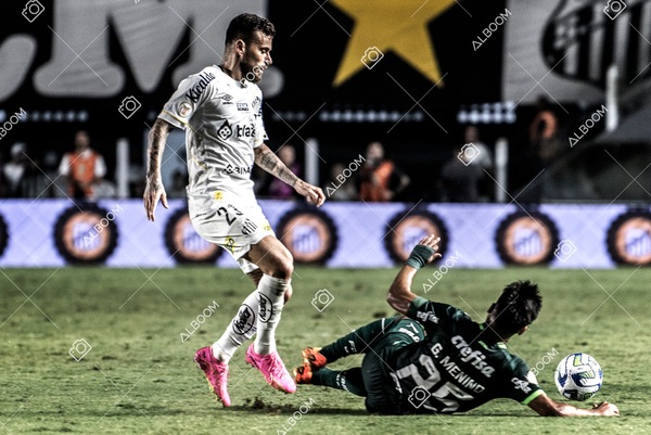 230520_SFC_0x0_Palmeiras_Brasileirão_foto Dennis Calçada_01 (31)-1.jpg