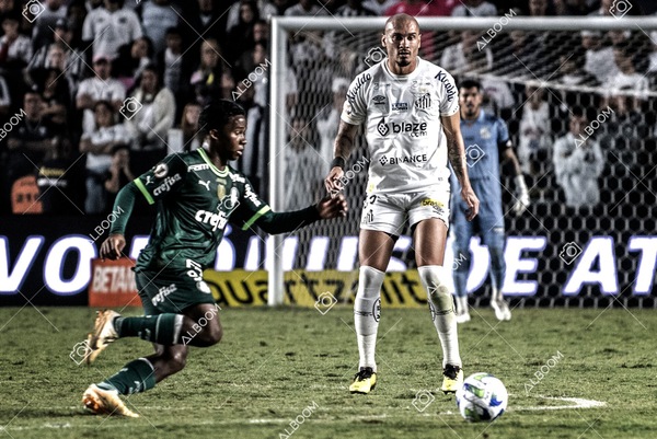 230520_SFC_0x0_Palmeiras_Brasileirão_foto Dennis Calçada_01 (195)-1.jpg