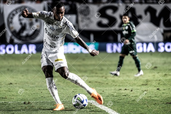 230520_SFC_0x0_Palmeiras_Brasileirão_foto Dennis Calçada_01 (803)-1.jpg