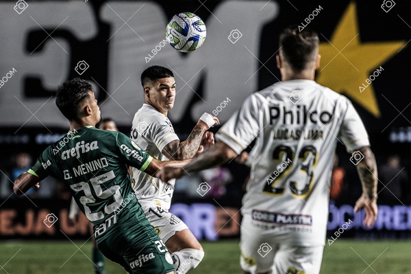 230520_SFC_0x0_Palmeiras_Brasileirão_foto Dennis Calçada_01 (442)-1.jpg