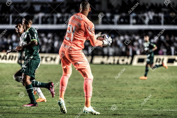 230520_SFC_0x0_Palmeiras_Brasileirão_foto Dennis Calçada_01 (108)-1.jpg