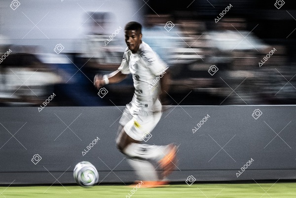 230520_SFC_0x0_Palmeiras_Brasileirão_foto Dennis Calçada_01 (727)-1.jpg