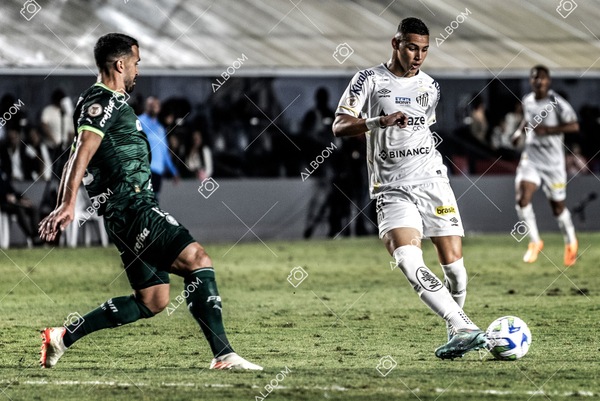 230520_SFC_0x0_Palmeiras_Brasileirão_foto Dennis Calçada_01 (685)-1.jpg