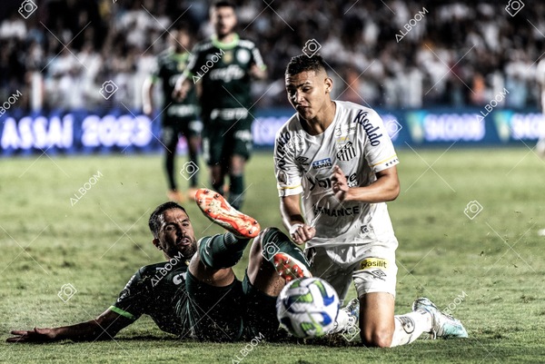 230520_SFC_0x0_Palmeiras_Brasileirão_foto Dennis Calçada_01 (123)-1.jpg