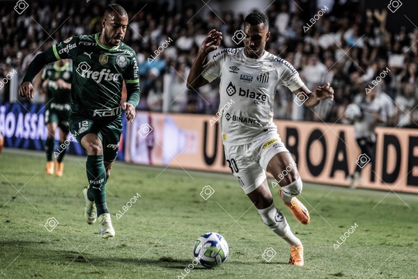 230520_SFC_0x0_Palmeiras_Brasileirão_foto Dennis Calçada_01 (593)-1.jpg