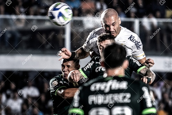 230520_SFC_0x0_Palmeiras_Brasileirão_foto Dennis Calçada_01 (134)-1.jpg