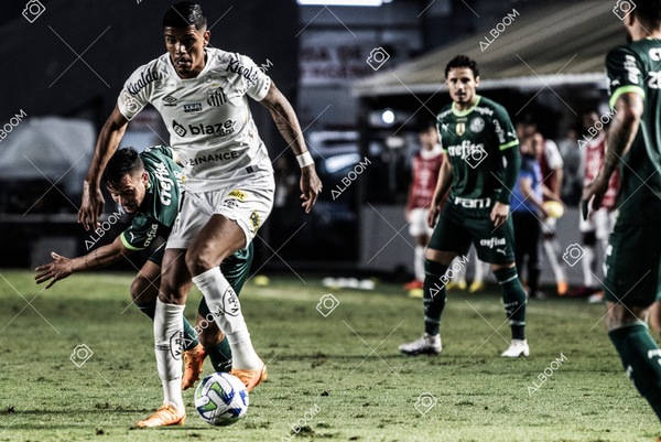 230520_SFC_0x0_Palmeiras_Brasileirão_foto Dennis Calçada_01 (45)-1.jpg