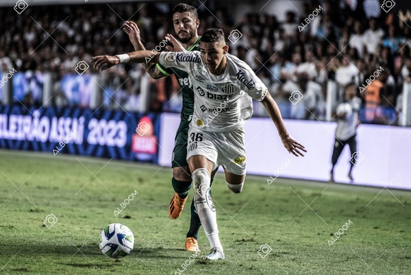 230520_SFC_0x0_Palmeiras_Brasileirão_foto Dennis Calçada_01 (709)-1.jpg