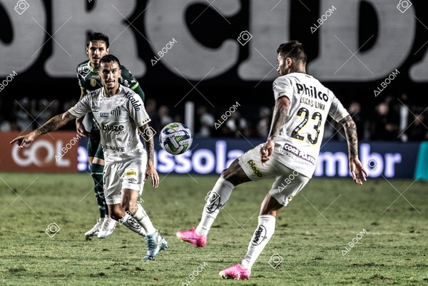 230520_SFC_0x0_Palmeiras_Brasileirão_foto Dennis Calçada_01 (21)-1.jpg