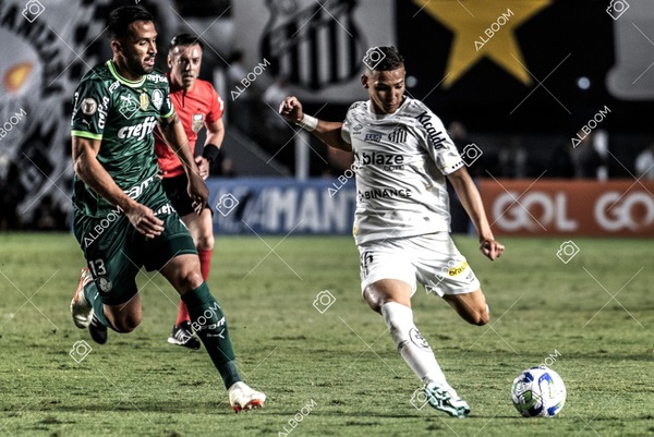 230520_SFC_0x0_Palmeiras_Brasileirão_foto Dennis Calçada_01 (550)-1.jpg