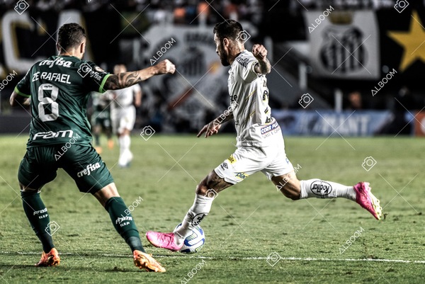 230520_SFC_0x0_Palmeiras_Brasileirão_foto Dennis Calçada_01 (690)-1.jpg