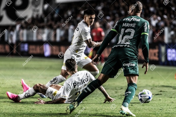 230520_SFC_0x0_Palmeiras_Brasileirão_foto Dennis Calçada_01 (449)-1.jpg