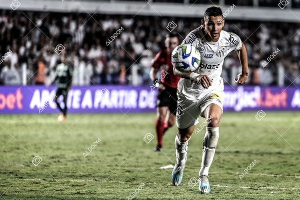 230520_SFC_0x0_Palmeiras_Brasileirão_foto Dennis Calçada_01 (174)-1.jpg
