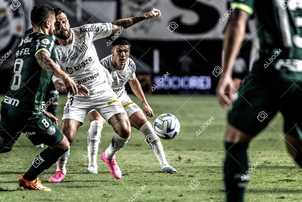 230520_SFC_0x0_Palmeiras_Brasileirão_foto Dennis Calçada_01 (445)-1.jpg