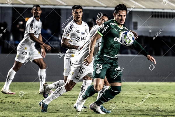 230520_SFC_0x0_Palmeiras_Brasileirão_foto Dennis Calçada_01 (497)-1.jpg
