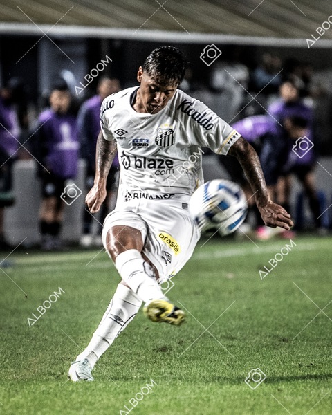 230629_Santos_0x0_Blooming_Sulamericana_foto Dennis Calçada_01 (597)-1.jpg