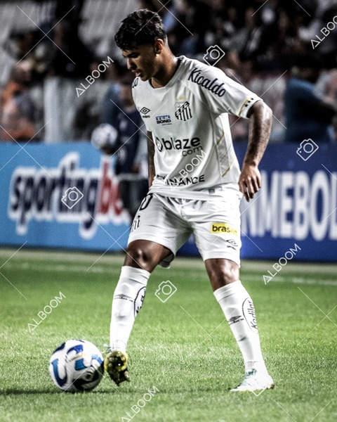 230629_Santos_0x0_Blooming_Sulamericana_foto Dennis Calçada_01 (150)-1.jpg