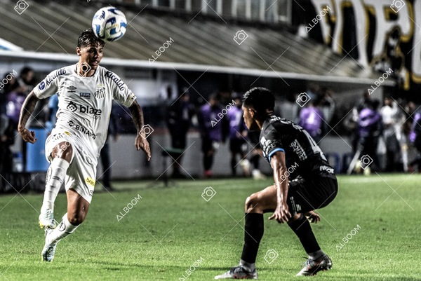 230629_Santos_0x0_Blooming_Sulamericana_foto Dennis Calçada_01 (483)-1.jpg