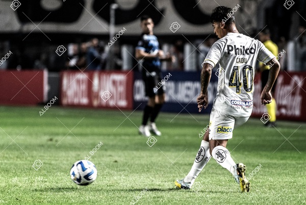 230629_Santos_0x0_Blooming_Sulamericana_foto Dennis Calçada_01 (151)-1.jpg