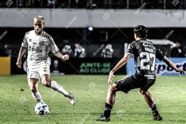 230629_Santos_0x0_Blooming_Sulamericana_foto Dennis Calçada_01 (654)-1.jpg