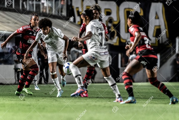230224_Santos_3x0_Flamengo_Brasileiro_fotoDC_01 (249)-1.jpg