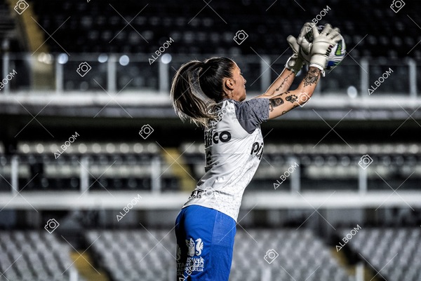 230224_Santos_3x0_Flamengo_Brasileiro_fotoDC_01 (80)-1.jpg