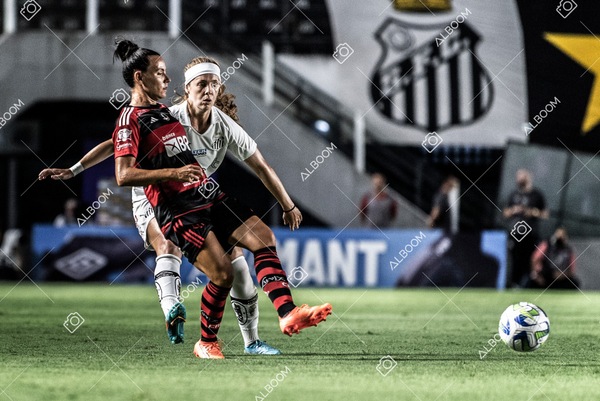 230224_Santos_3x0_Flamengo_Brasileiro_fotoDC_01 (278)-1.jpg
