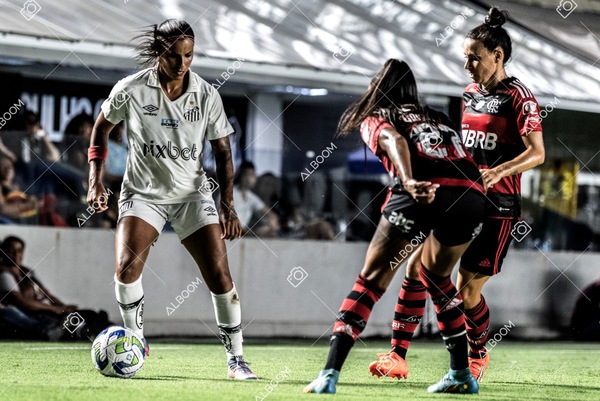230224_Santos_3x0_Flamengo_Brasileiro_fotoDC_01 (415)-1.jpg