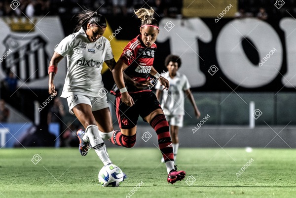 230224_Santos_3x0_Flamengo_Brasileiro_fotoDC_01 (240)-1.jpg