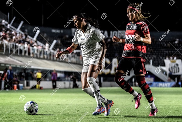 230224_Santos_3x0_Flamengo_Brasileiro_fotoDC_01 (246)-1.jpg