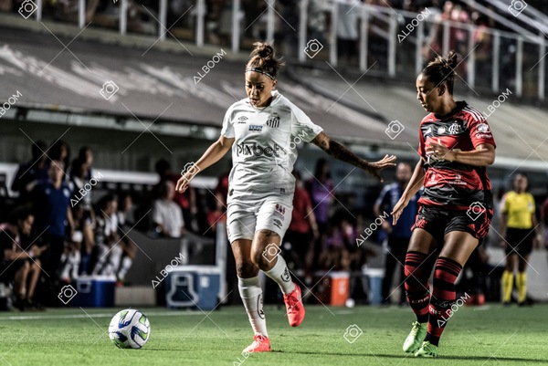 230224_Santos_3x0_Flamengo_Brasileiro_fotoDC_01 (178)-1.jpg