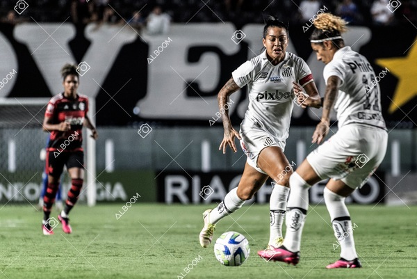 230224_Santos_3x0_Flamengo_Brasileiro_fotoDC_01 (200)-1.jpg