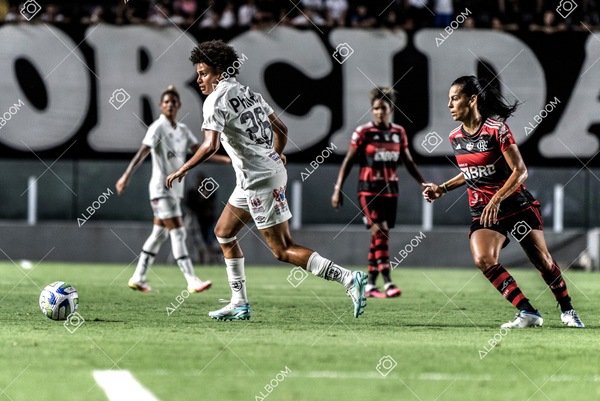 230224_Santos_3x0_Flamengo_Brasileiro_fotoDC_01 (284)-1.jpg