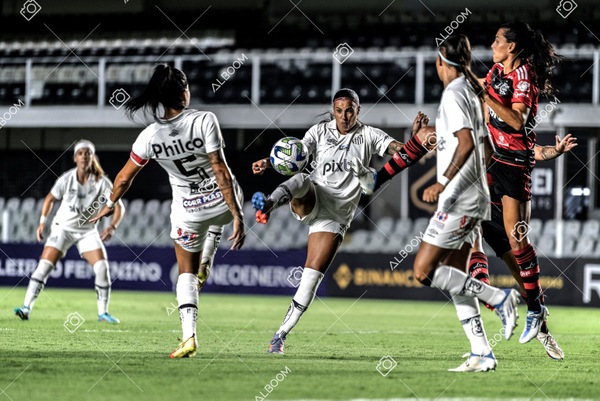 230224_Santos_3x0_Flamengo_Brasileiro_fotoDC_01 (228)-1.jpg