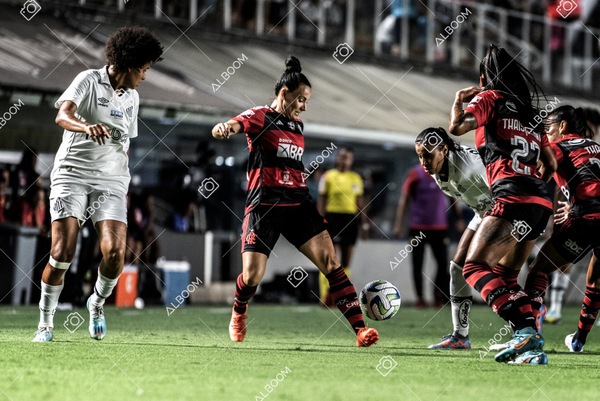 230224_Santos_3x0_Flamengo_Brasileiro_fotoDC_01 (250)-1.jpg